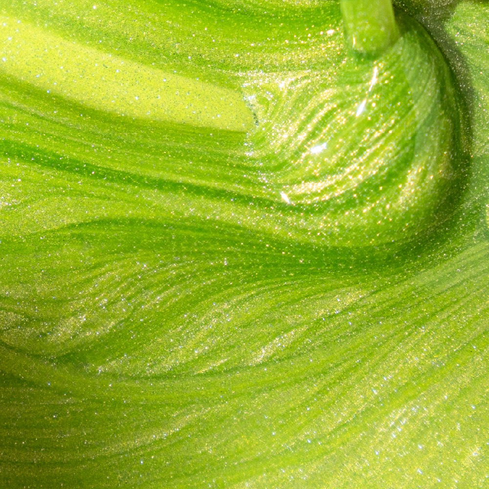 Alternative view of Inocos Verniz Gel Cat Eye Lau
